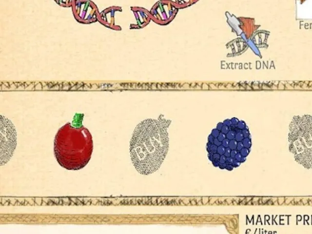 BerryMaker: DNA Soda factory