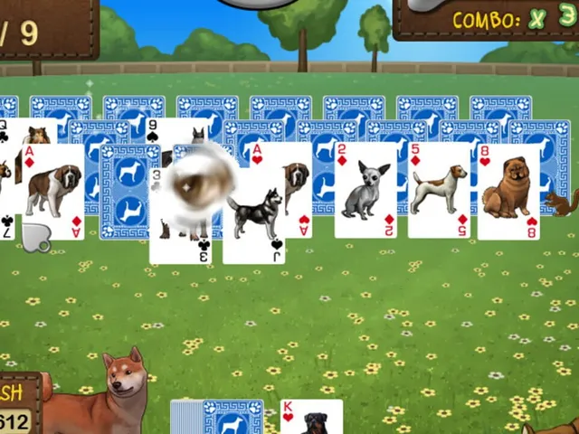 Best in Show Solitaire