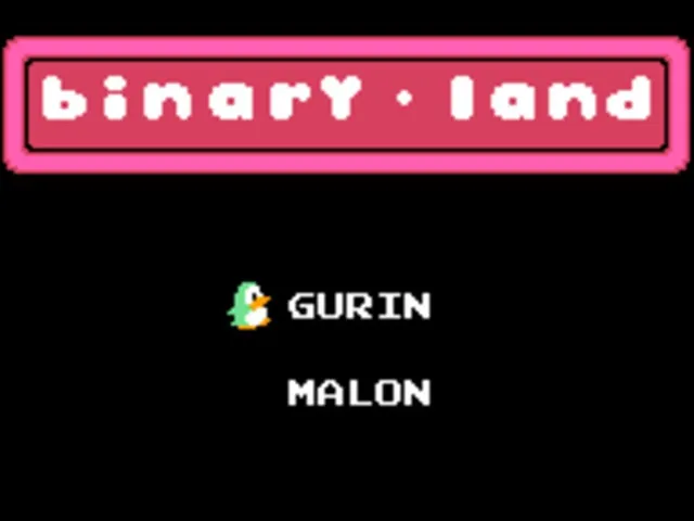 Binary Land