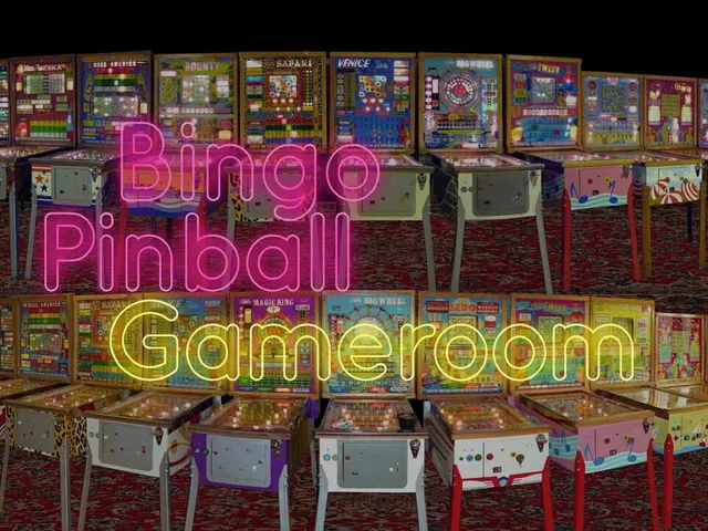 Bingo Pinball Gameroom