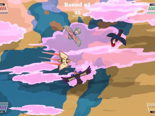 Bird Boxing