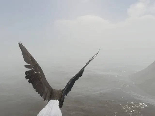 Bird Game 3