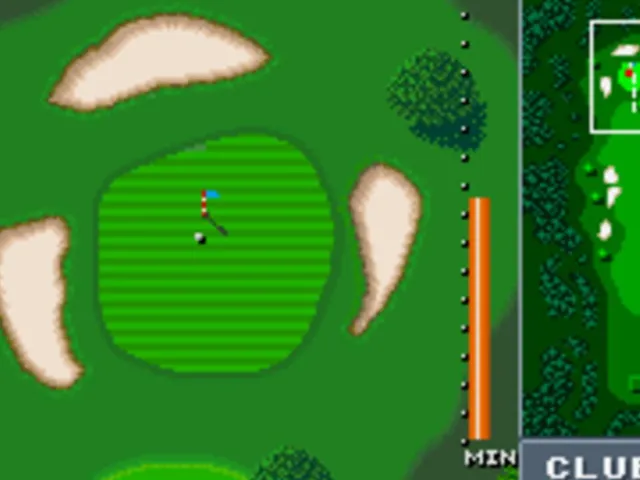 Birdie Try