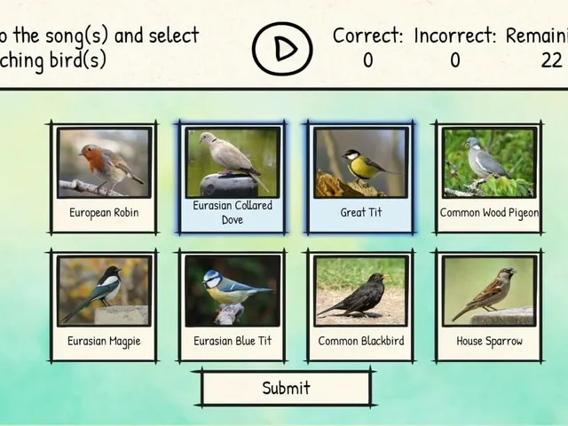 BirdLingo: A birdsong learning game
