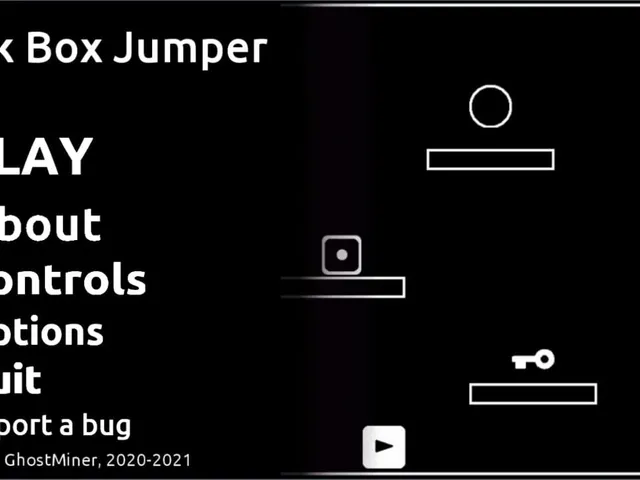Black Box Jumper