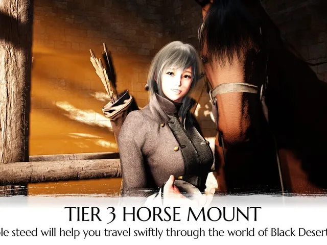 Black Desert Online: Traveler's Package