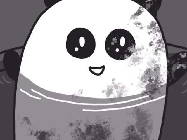 Black White Bear