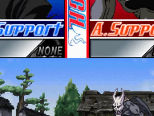 Bleach: The 3rd Phantom
