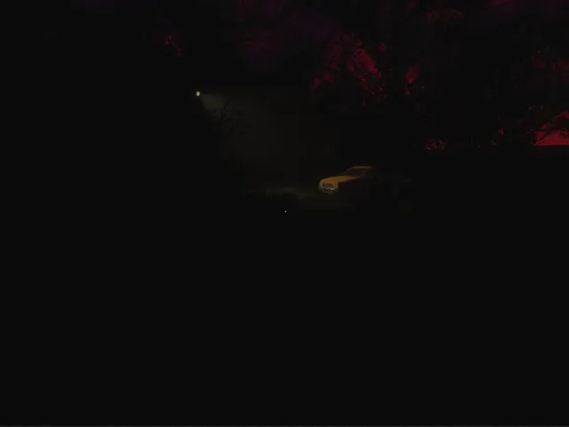 Bloody Forest