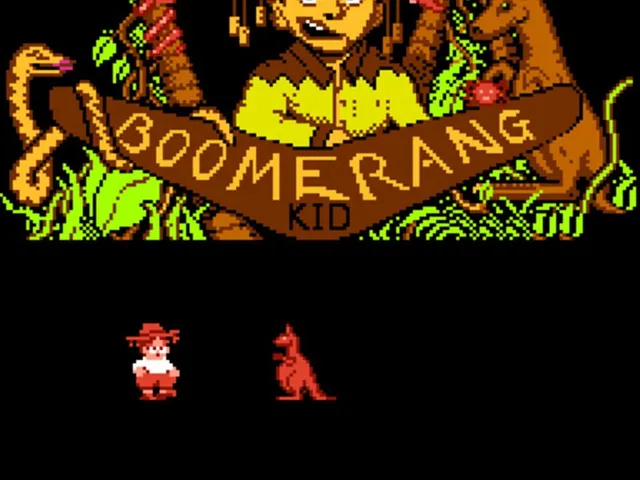 Boomerang Kid