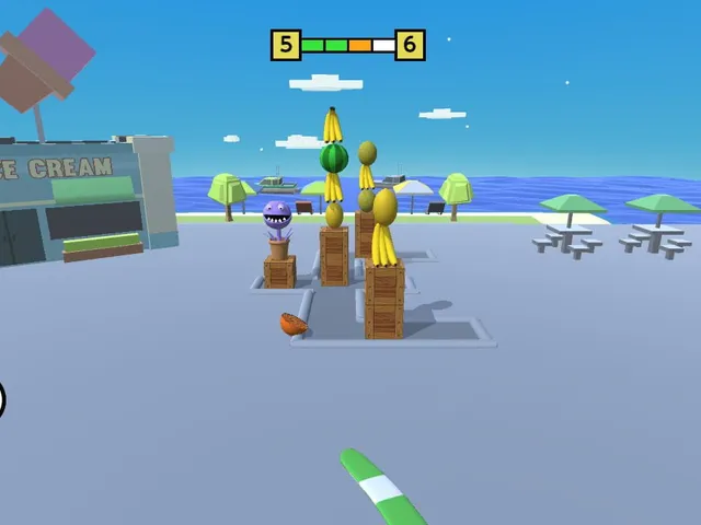 Boomerang King
