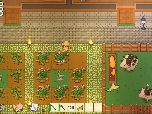 Border Town