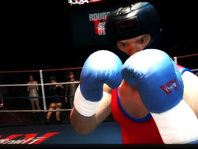 Boxing Saga