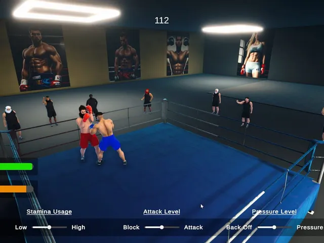 Boxing Simulator