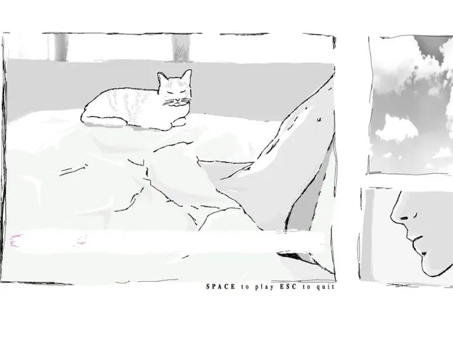 Boy with Cat