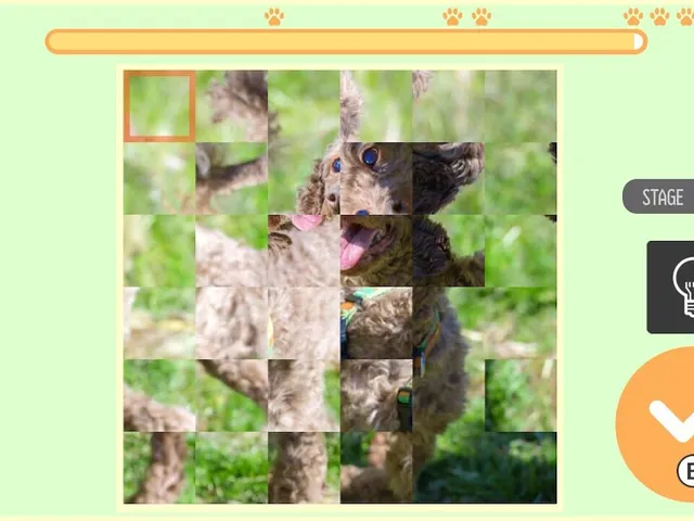 Brain Workout! Spinning Dog Puzzle