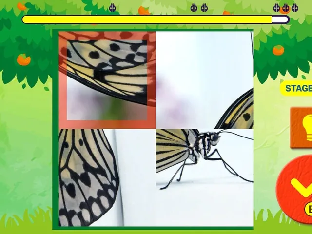 Brain Workout! Spinning Insect Puzzle