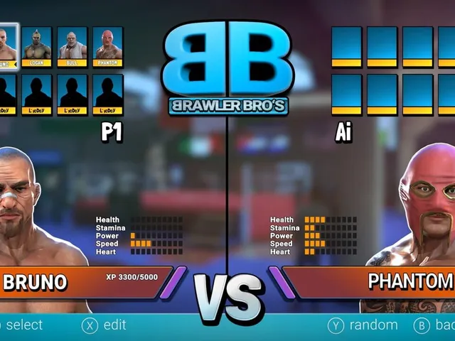 Brawler Bro's