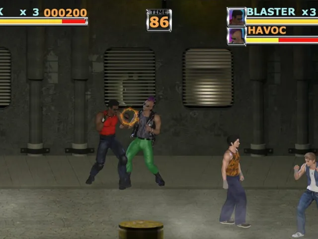Brawler