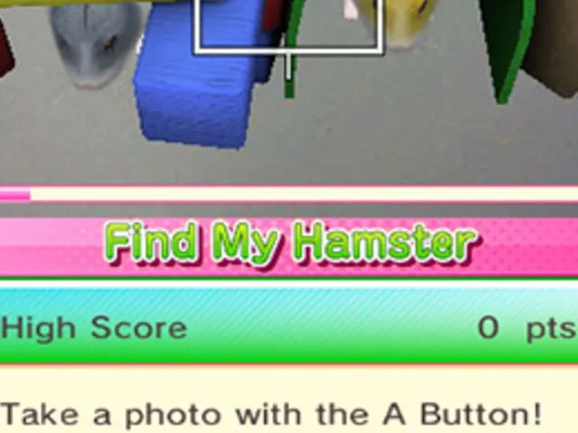 Brilliant Hamsters!