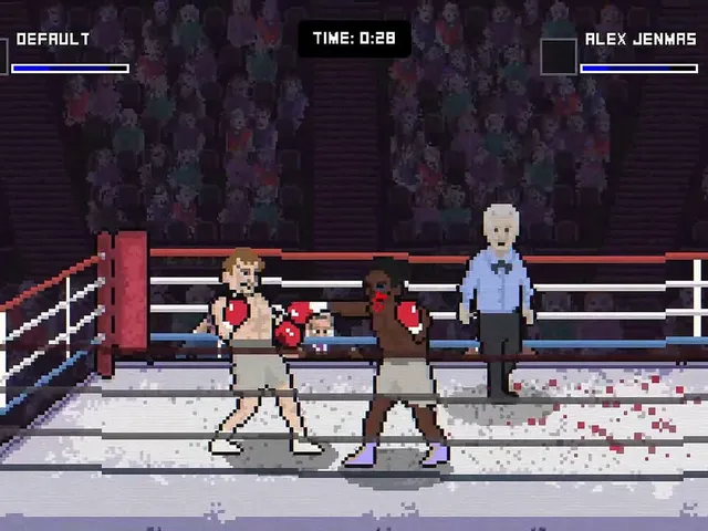 Bruisers 2D Boxing