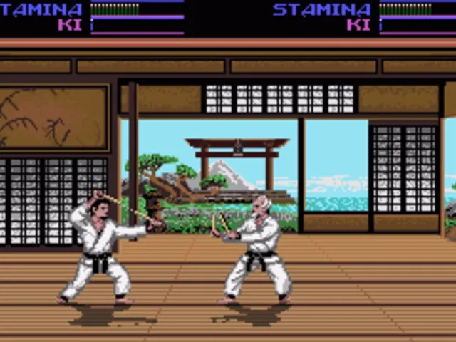 Budokan: The Martial Spirit