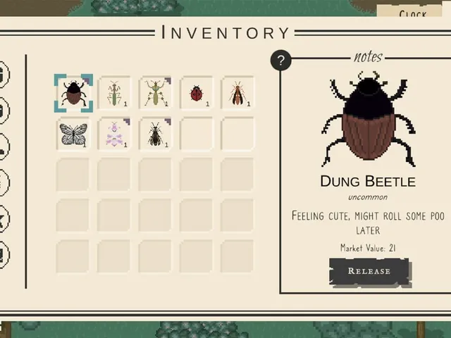 Bug & Seek
