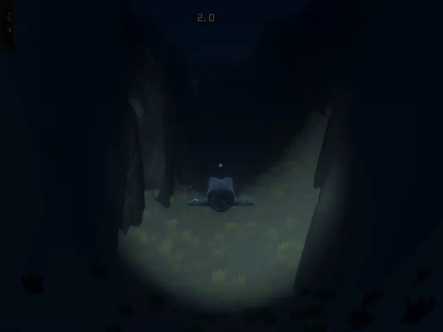 Burn Depth