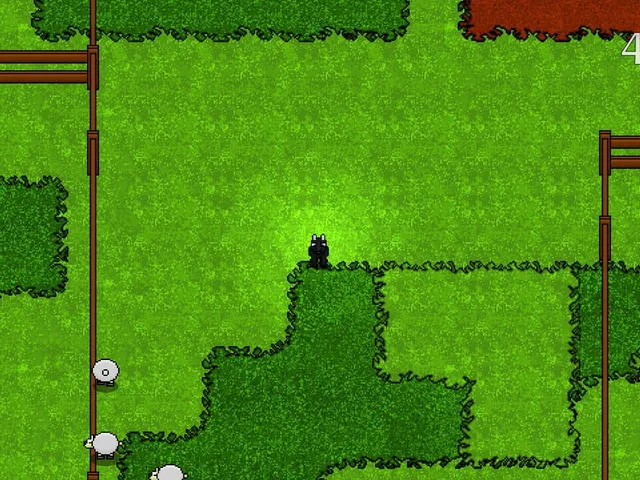 Bush Dog