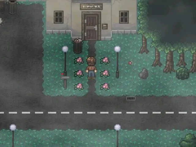 Calm Falls Remaster