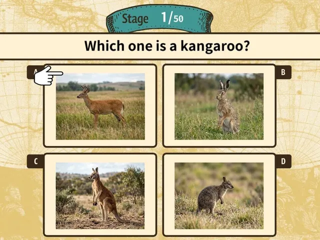 Can You Make the Cut? Worldwide Common Sense Check