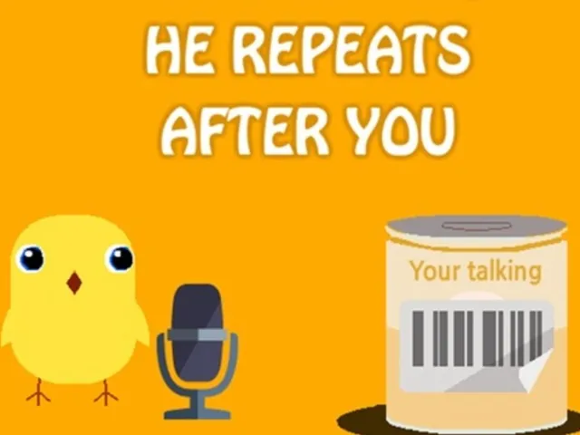 Can Your Talking?