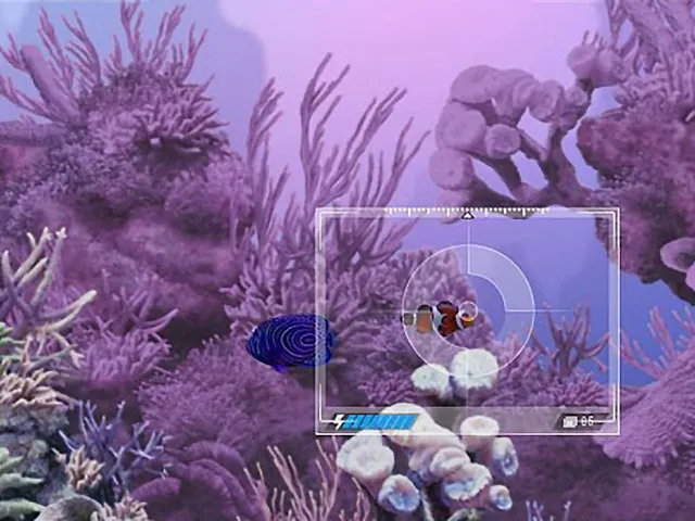 Caribbean Sea Fishes
