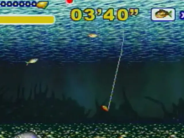 Casual Fishing