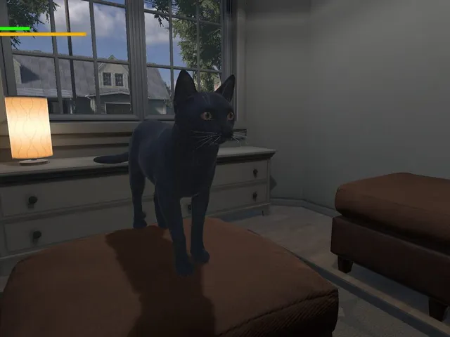 Cat Apocalypse