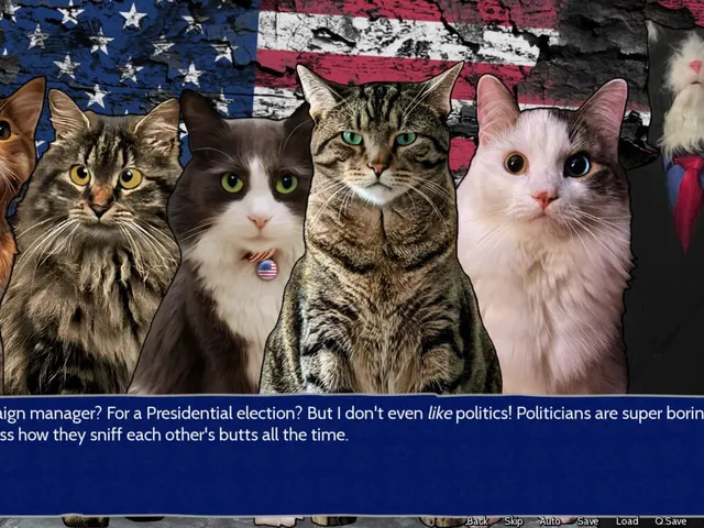 Cat President: 3rd-Rate Candidate