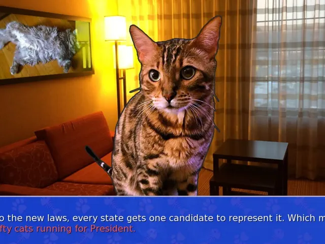 Cat President: A More Purrfect Union
