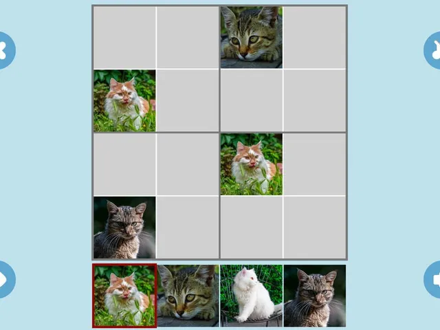 Cat Sudoku