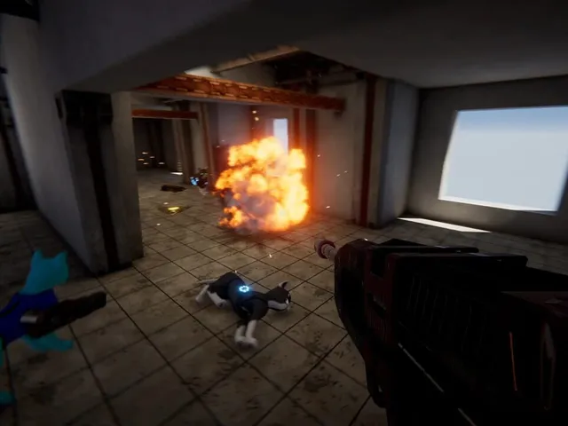 Cat Warfare