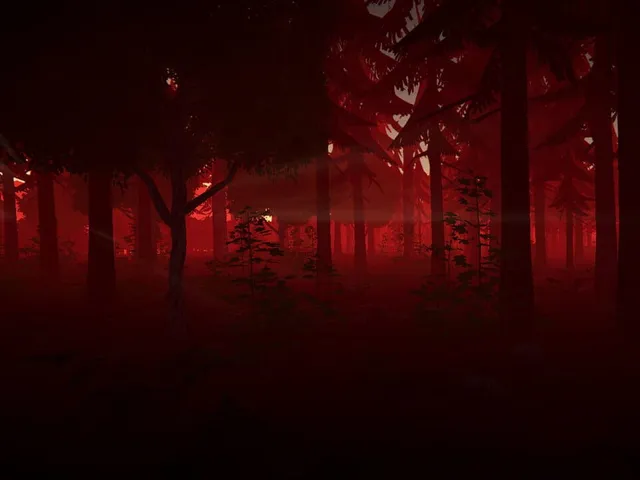 Category 6