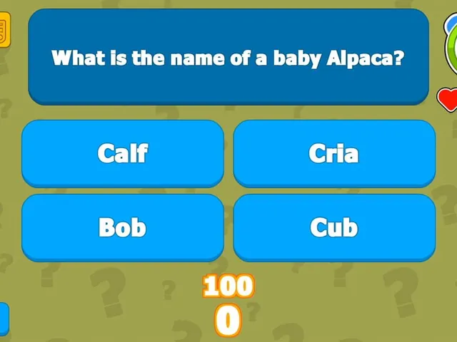 Category Challenge