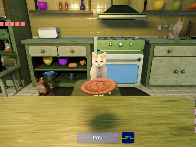 Cats and Tails