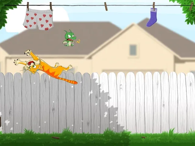 Cat’s Catch