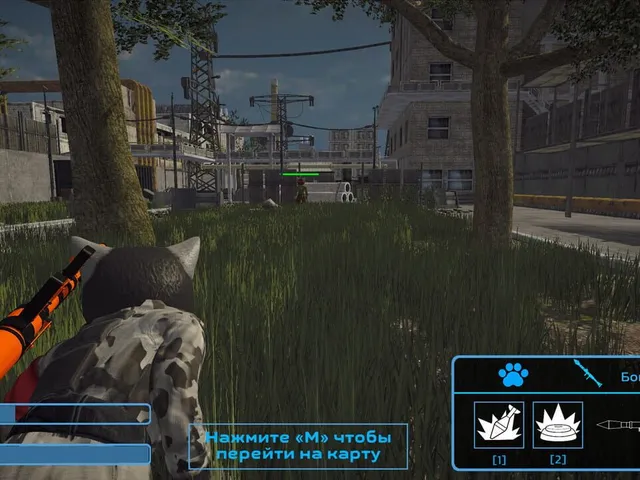 Cat's Wars