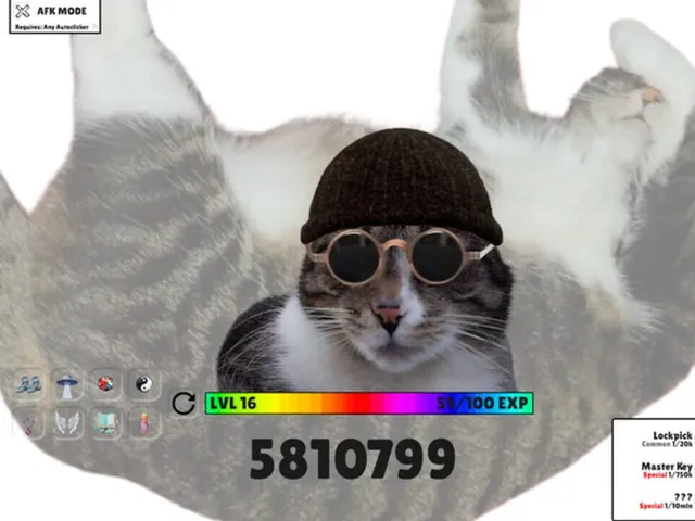 Catwifhat
