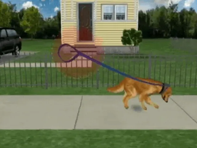 Cesar Millan's Dog Whisperer