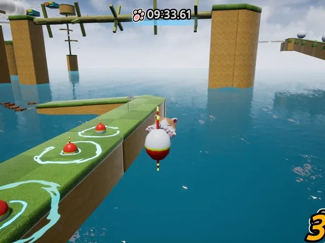 Challenge Dream Cat