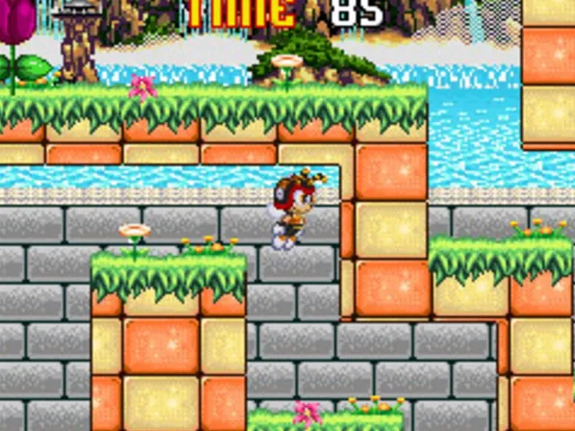 Charmy Maze