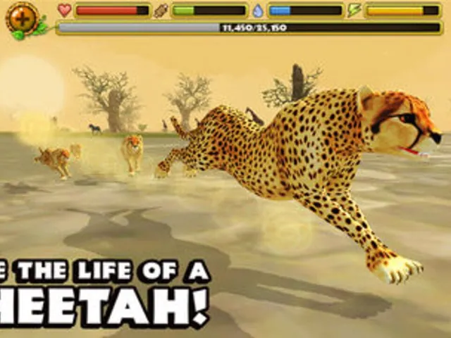 Cheetah Simulator