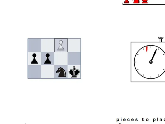Chess Brain Teasers 100,000